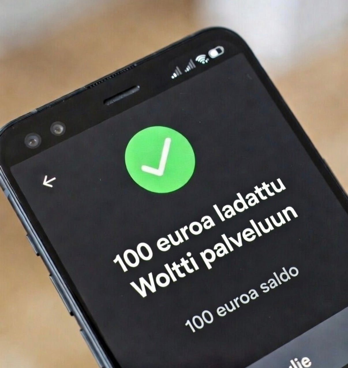Saldopaketti 100 euroa Woltti - palveluun - WolttinenWolttinen